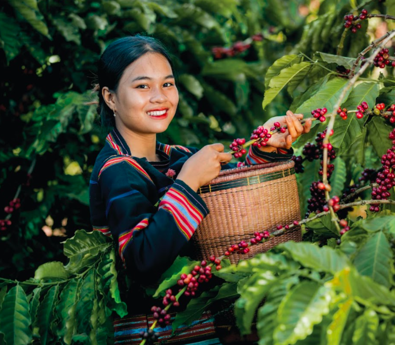 Nông dân Đắk Lắk